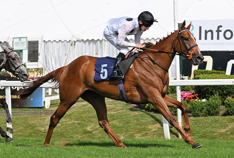 Zapphire winning at Haydock under Ryan Sexton.