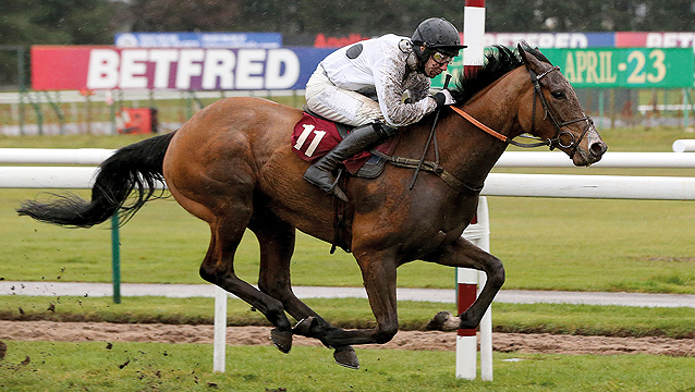 Elgin could build on recent run on hurdling debut