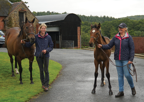  - Frankel ex Marlinka Colt - 16 August 2019