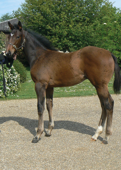  - Lope De Vega colt ex Tribute Act - 20 May 2020