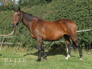 Affinity - 11 September 2024