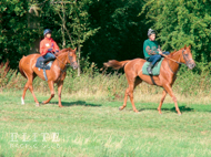 Eisteddfod - August 2007