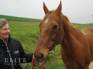 Eisteddfod - 19 October 2021