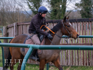 Mayson ex Loretta - 17 January 2024