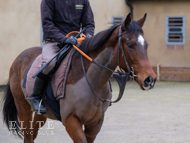 Mayson ex Loretta - 17 January 2024