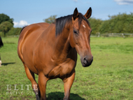 Marseille - 25 July 2023
