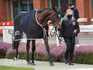 Tulin at Taunton - 8 April 2021