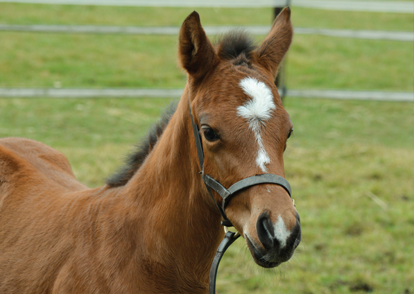  - Lope De Vega ex Affinity - 23 March 2018