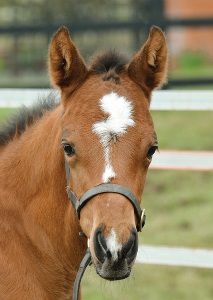  - Lope De Vega ex Affinity - 23 March 2018