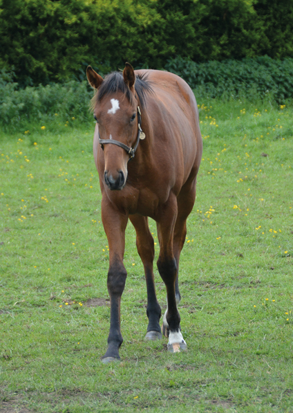  - Lope De Vega ex Affinity - 6 June 2019