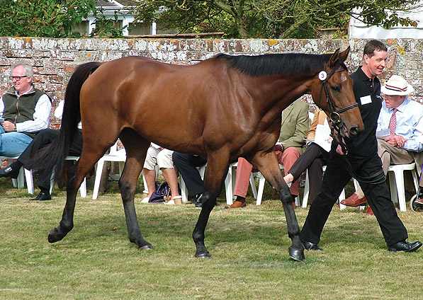  - Ballycarney - September 2009