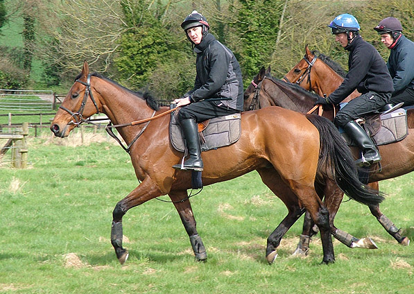  - Ballycarney - May 2010