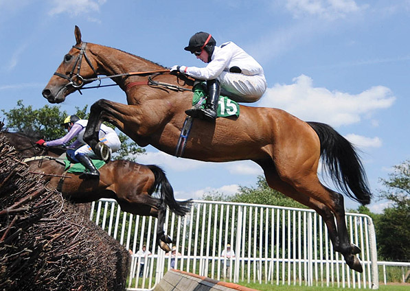  - Ballycarney in the Summer National at Uttoxeter - 27 June 2010