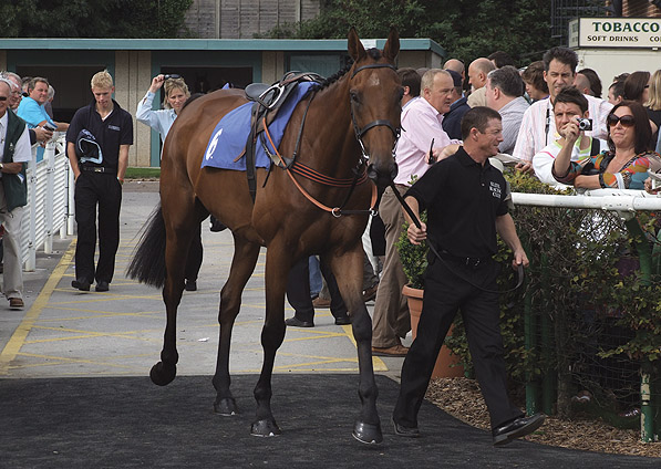  - Ballycarney at Stratford - 4 September 2010