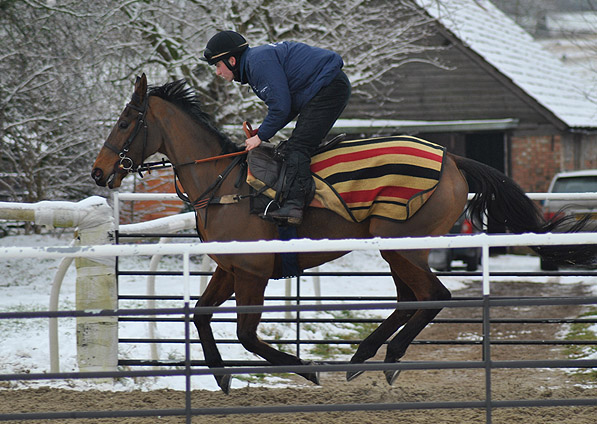  - Ballycarney - February 2012