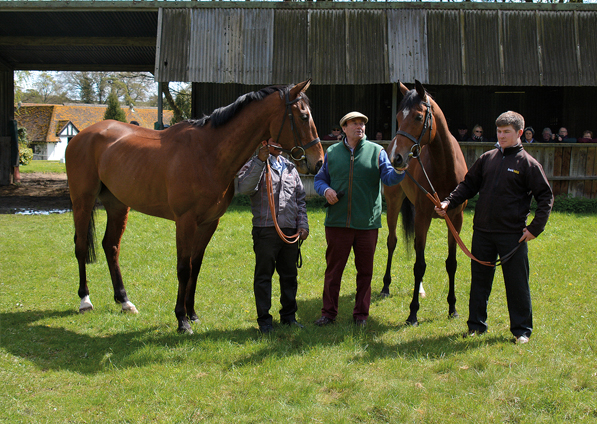  - Bardd (left) and Clemency - 24 April 2016