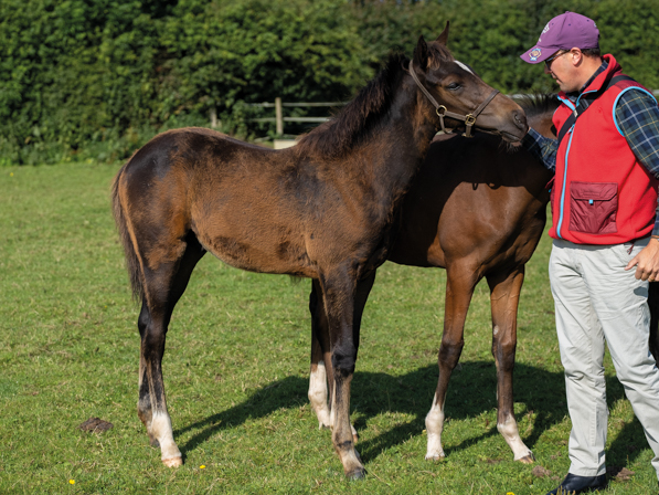  - Bated Breath ex Affinity colt - 25 July 2023