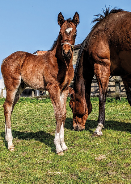  - Bated Breath ex Marseille colt - 28 March 2022