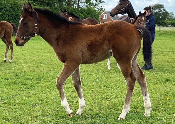  - Bated Breath ex Marseille colt - 27 May 2022