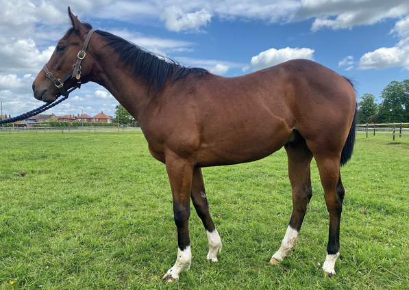  - Bated Breath ex Marseille colt - 25 May 2023
