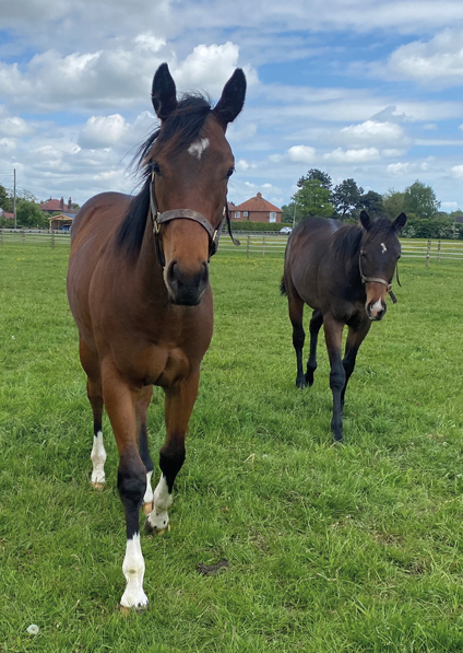  - Bated Breath ex Marseille colt - 25 May 2023