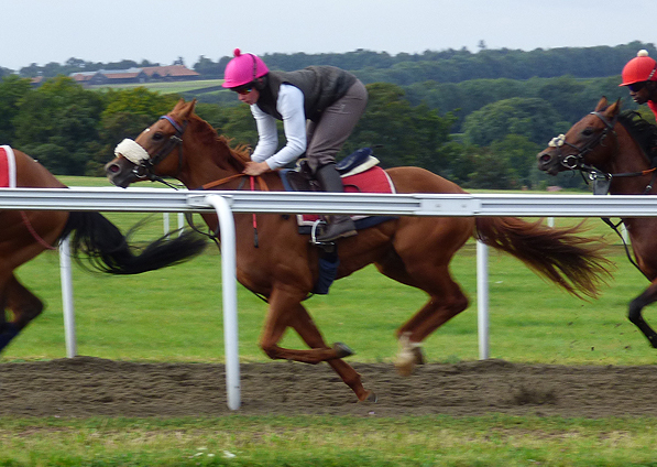  - Boarding Party on the gallops - August 2014