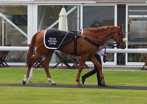  - Boarding Party at Newbury - 15 May 2015 - 2