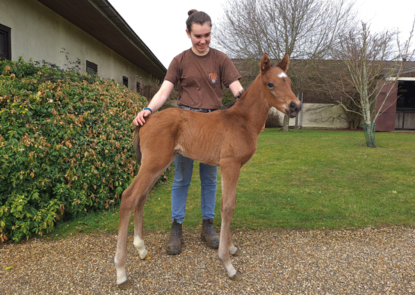  - Bobbys Kitten ex Roubles colt - 16 March 2023