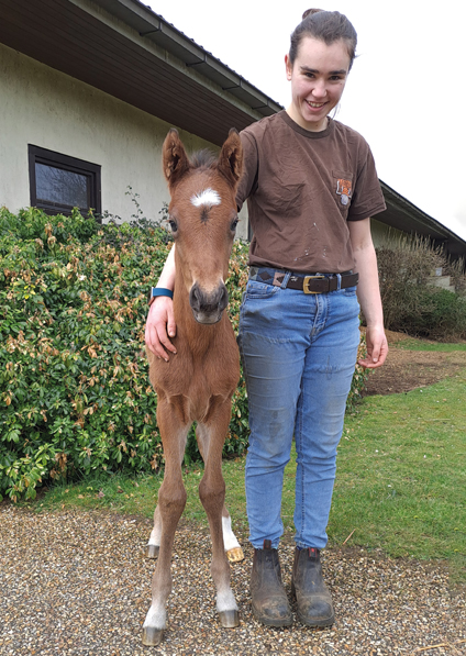  - Bobbys Kitten ex Roubles colt - 16 March 2023