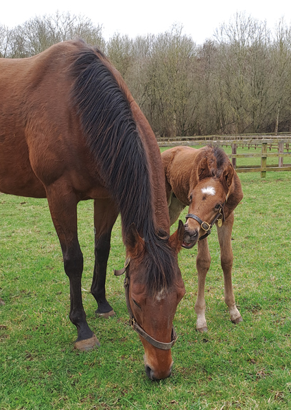  - Roubles and her Bobbys Kitten colt - 20 March 2023