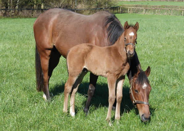  - Roubles and her Bobbys Kitten colt - 4 April 2023