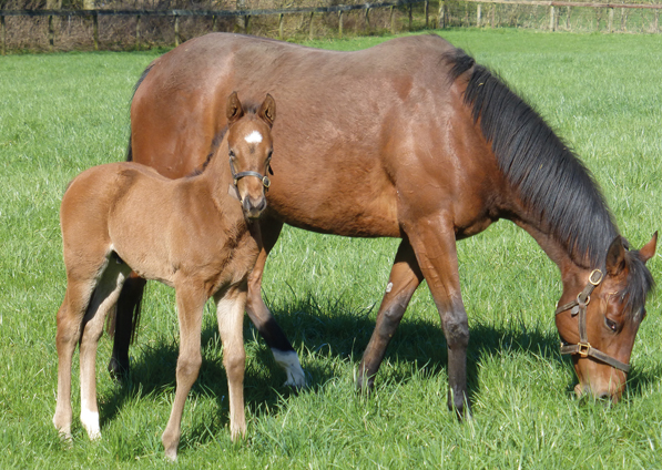  - Roubles and her Bobbys Kitten colt - 4 April 2023