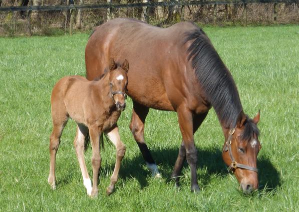  - Roubles and her Bobbys Kitten colt - 4 April 2023