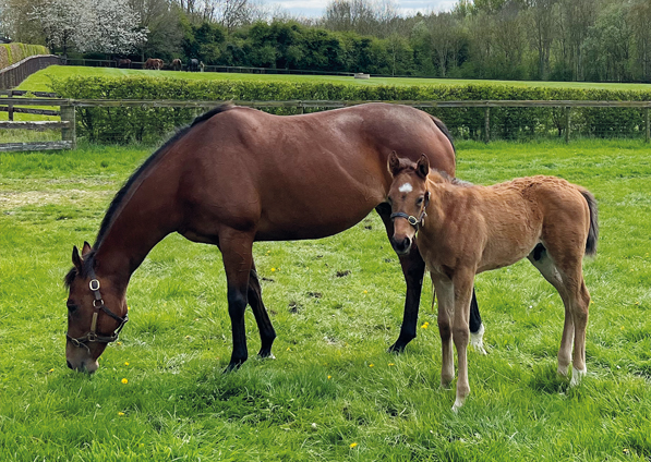  - Roubles and her Bobbys Kitten colt - 25 April 2023