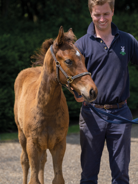  - Bobby's Kitten ex Roubles colt - 15 June 2023