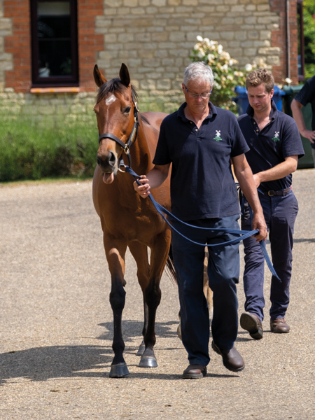  - Roubles and colt foal by Bobby's Kitten - 15 June 2023