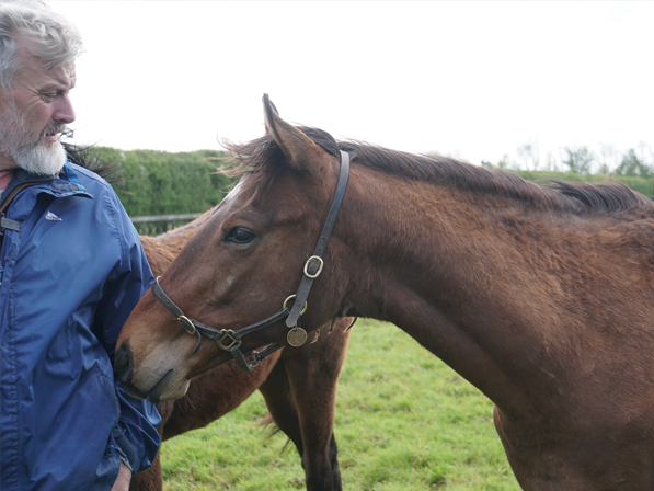  - Bobby's Kitten ex Roubles Yearling Colt - 15 April 2024