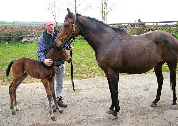  - Ffestiniog and her 2006 Selkirk foal - April 2006