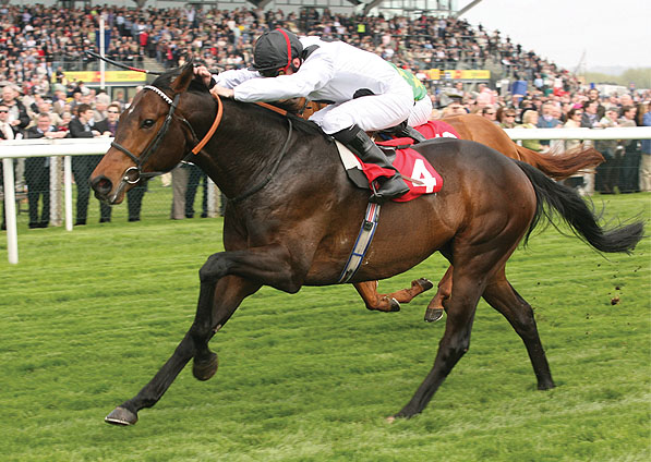  - Border Patrol and Steve Drowne winning at Newbury - 18 April 2009