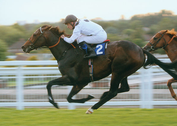  - Border Patrol and Steve Drowne winning at Sandown - 28 May 2009 - 2