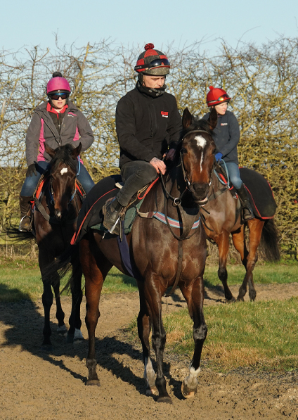  - Burgundy (pink hat) - 10 January 2020