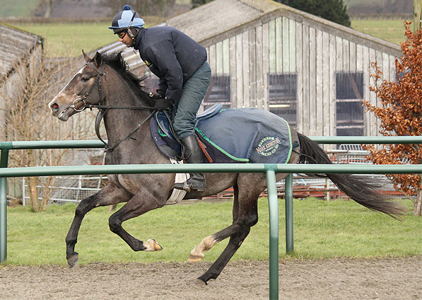  - By The Light on the gallops - February 2013