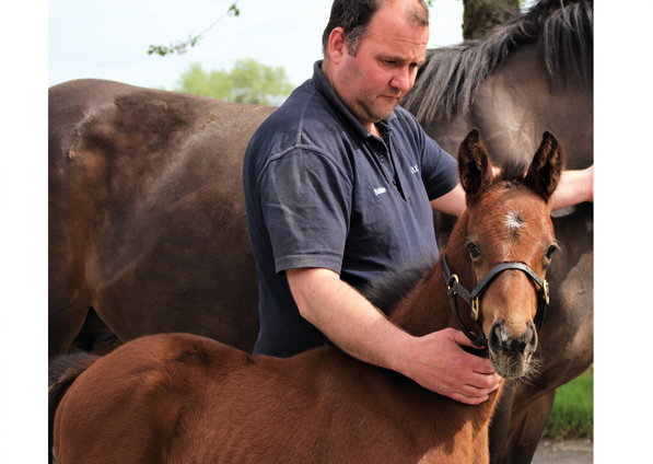  - Camelot ex Shining Sea colt - 2 May 2023