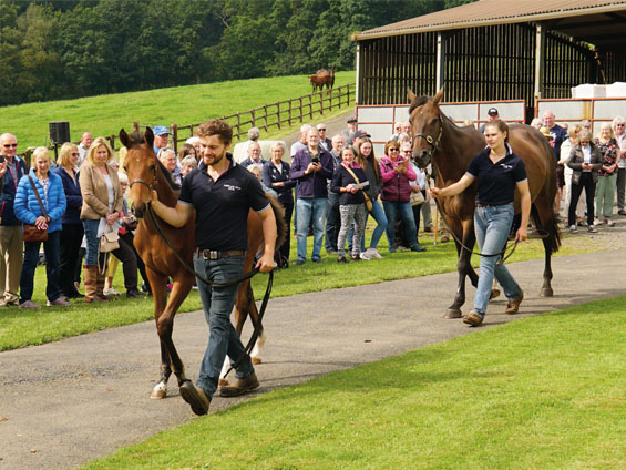  - Shining Sea and her Camelot colt - 17 August 2023