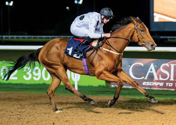  - Canasta at Wolverhampton  - 3 October 2019