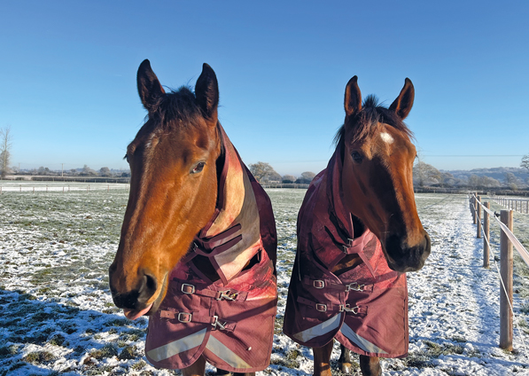  - Citrus Grove (right), Alpine Girl (left) - 15 December 2022