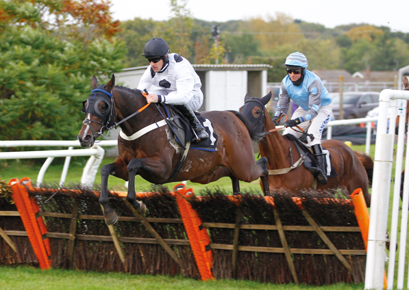  - Constancio at Plumpton - 19 October 2020