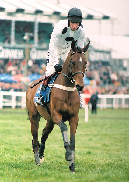  - Dancing Bay and Mick Fitzgerald at Cheltenham - 16 March 2005