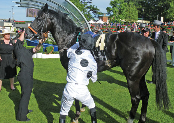  - Dandino in the winners enclosure at Royal Ascot - 17 June 2010 - 1