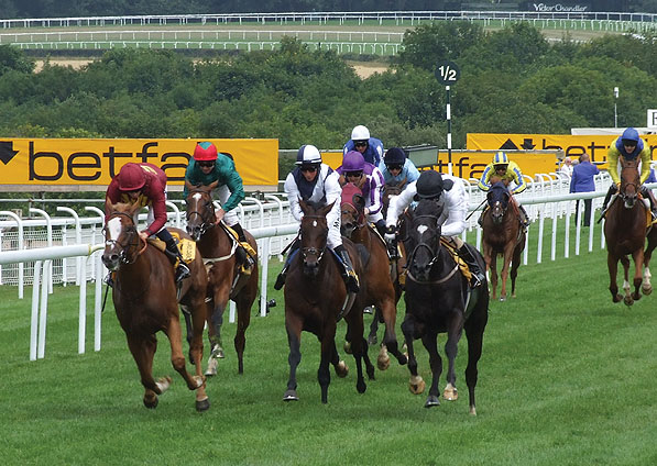  - Dandino in the Gordon Stakes at Goodwood - 27 July 2010